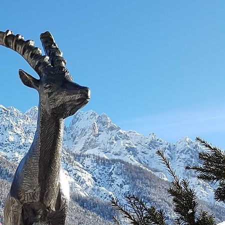 Nigritella Apartment Kranjska Gora Luaran gambar