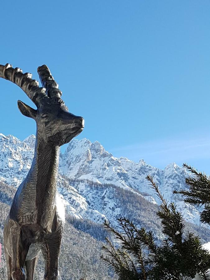 Nigritella Apartment Kranjska Gora Luaran gambar