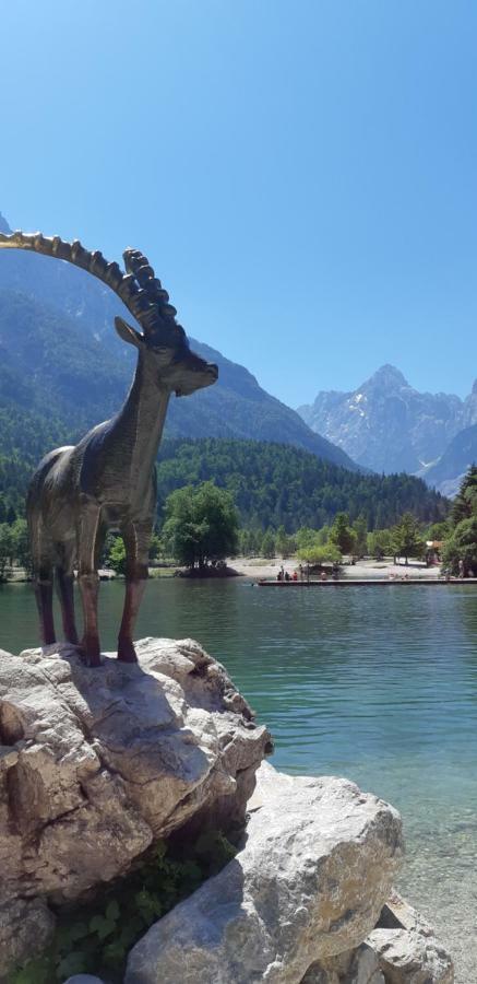 Nigritella Apartment Kranjska Gora Luaran gambar
