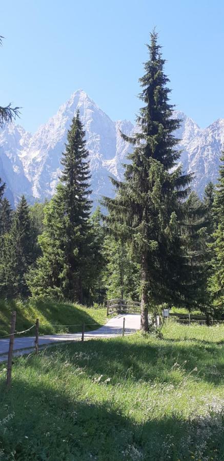 Nigritella Apartment Kranjska Gora Luaran gambar